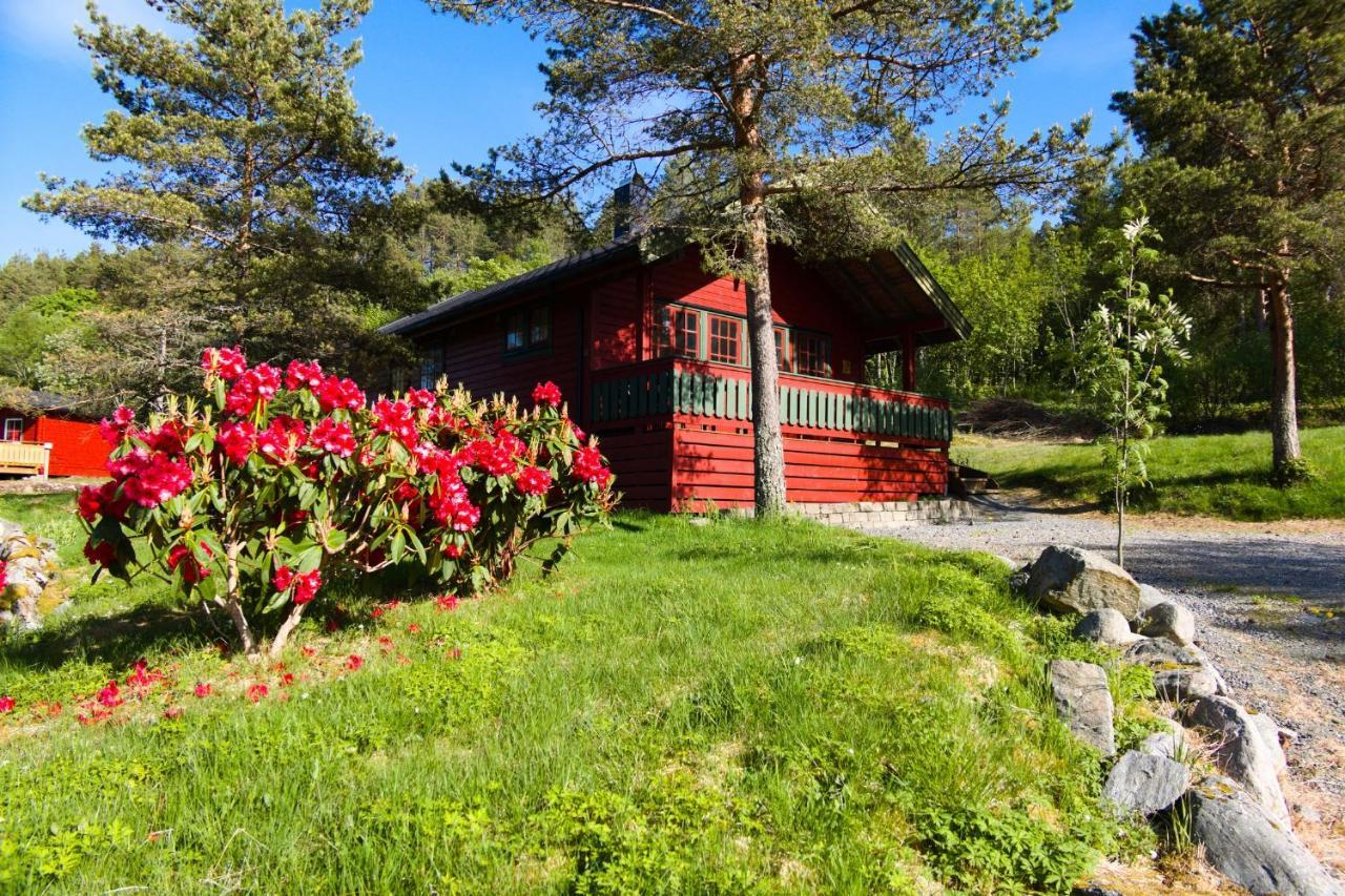 Sjoholt Camping Exterior foto